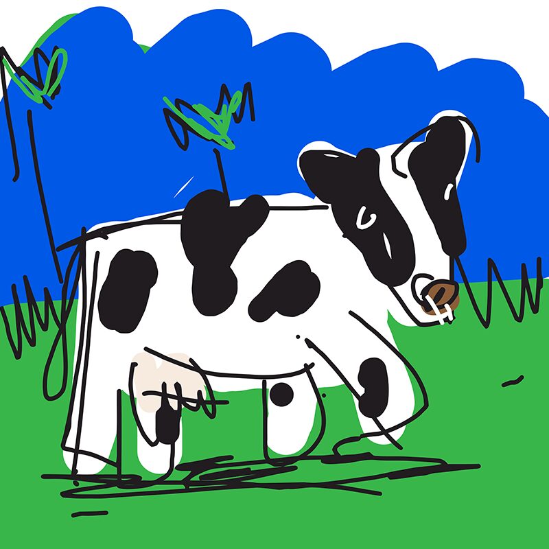 Cow - Image 2