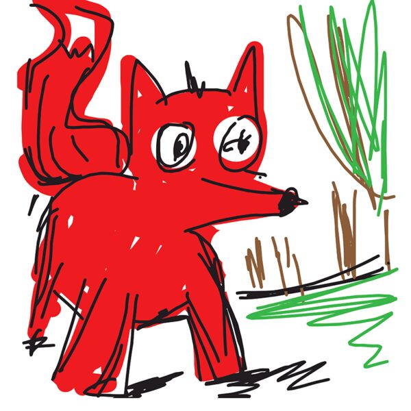 Fox